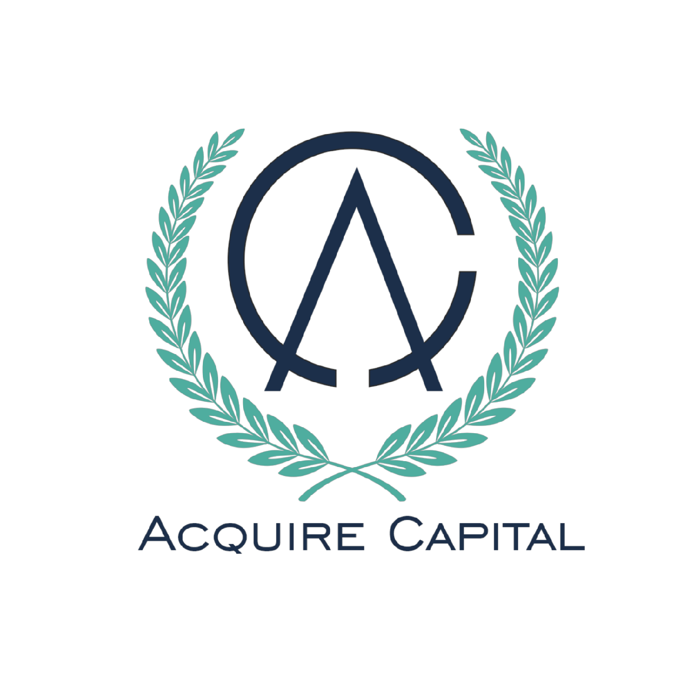 acquire capital