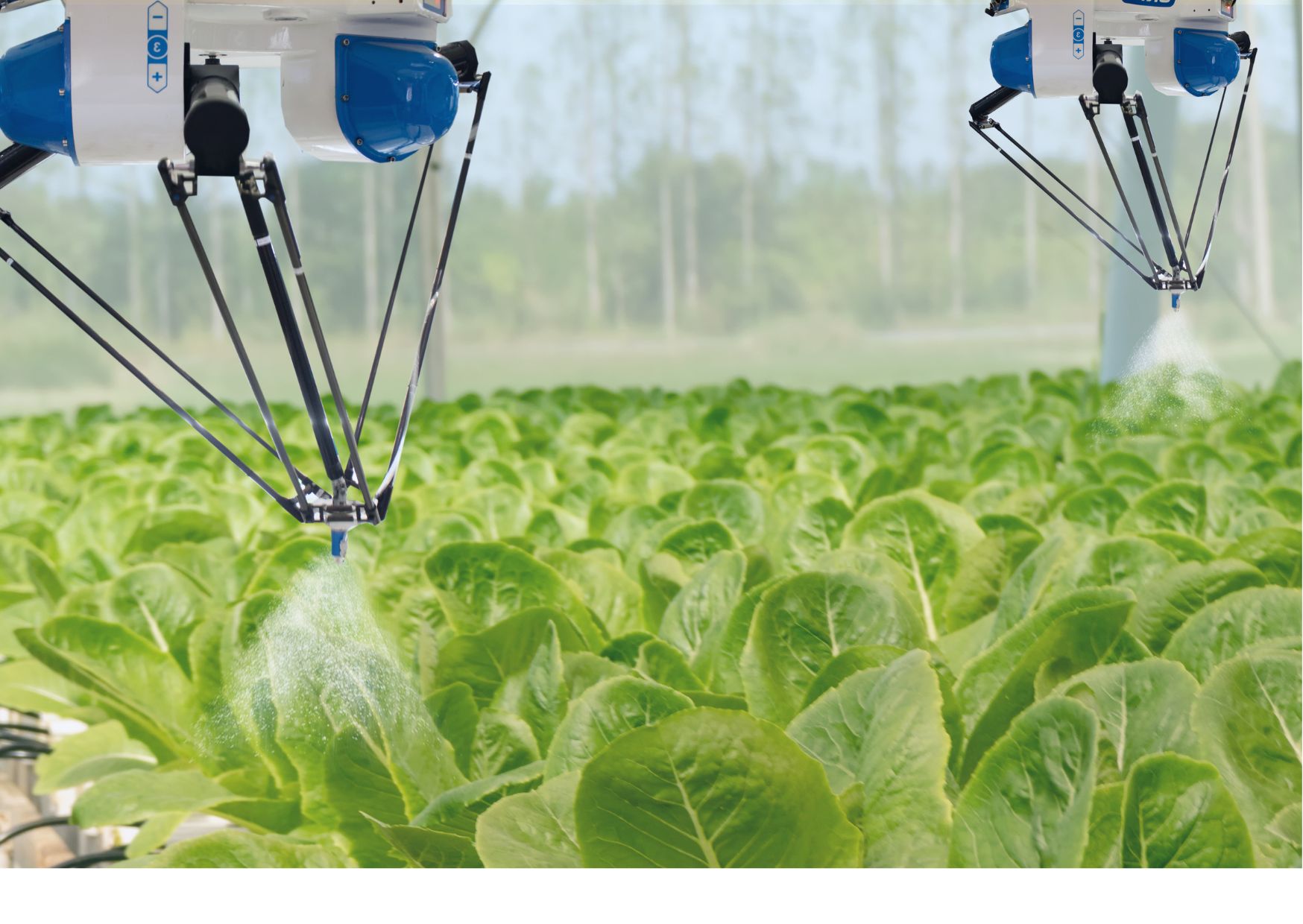 Alpha Blog Images (2)